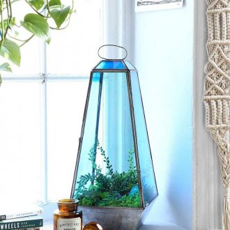 Florarium rengi