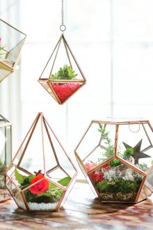 Florarium dekoratiftir