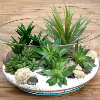 Florarium Tasarımı