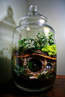 Bir ev ile Florarium