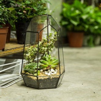 Çakıl Florarium