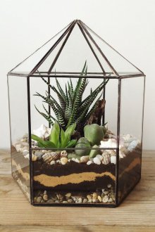 Geometrik florarium