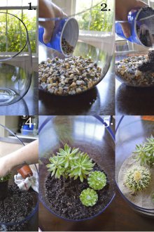 Florarium talimatı