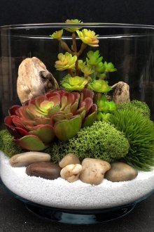 Taşlarla Florarium