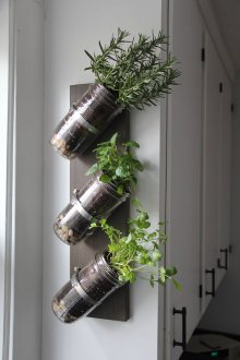Mutfakta Florarium