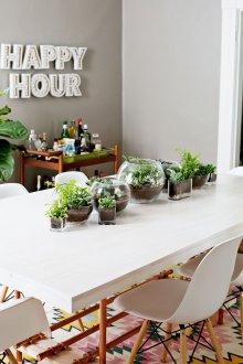 Dairede Florarium