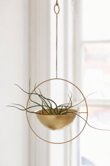 Minimalizm Florarium