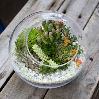 Portatif Florarium
