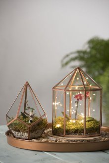 Işıklı Florarium