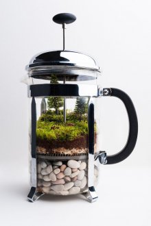 Fransız basında Florarium