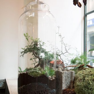 Florarium nasıl yapılır