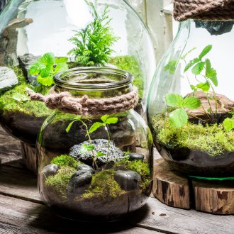 Cam Florarium