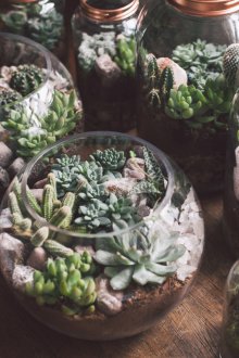 Etli Florarium