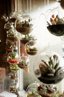 Florarium dekorasyonu
