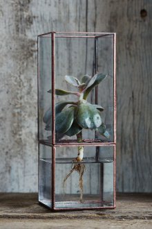 Su ile Florarium