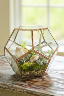 Kapalı Florarium