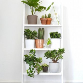 Plastik stand