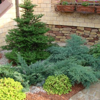 Bir kır evi merdiven tarafından iğne yapraklı ağaçlar