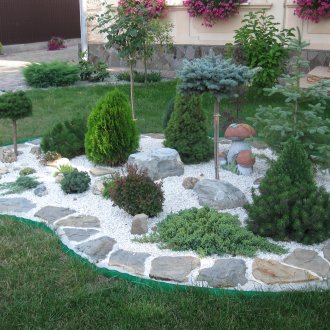 Taşlarla süslenmiş güzel iğne yapraklı kompozisyon