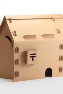 Cat's house