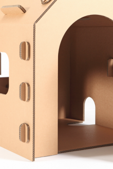 Cat's house