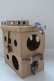 Cat's house