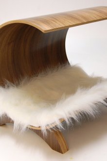 Cat's house