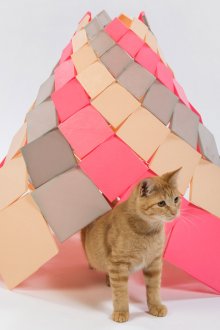 Cat's house