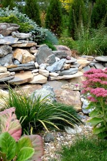 Flache Steine im Steingarten-Design